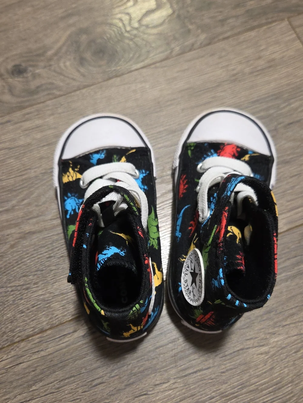 Converse All Star High-Top Dinosaur Sneakers - Picture 5 of 9